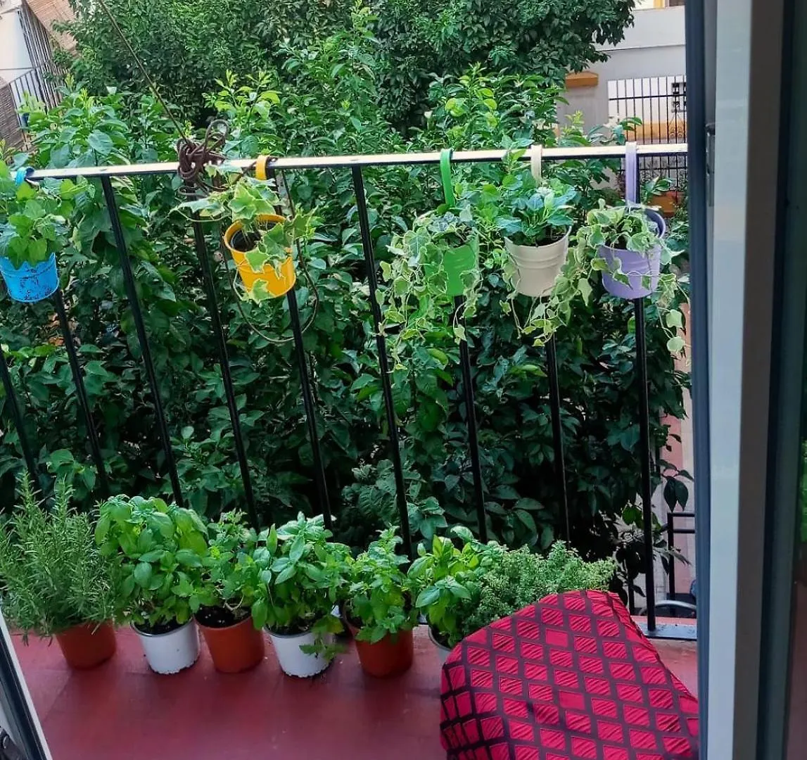 Homestay Roberta'S Guest House Seville Spain